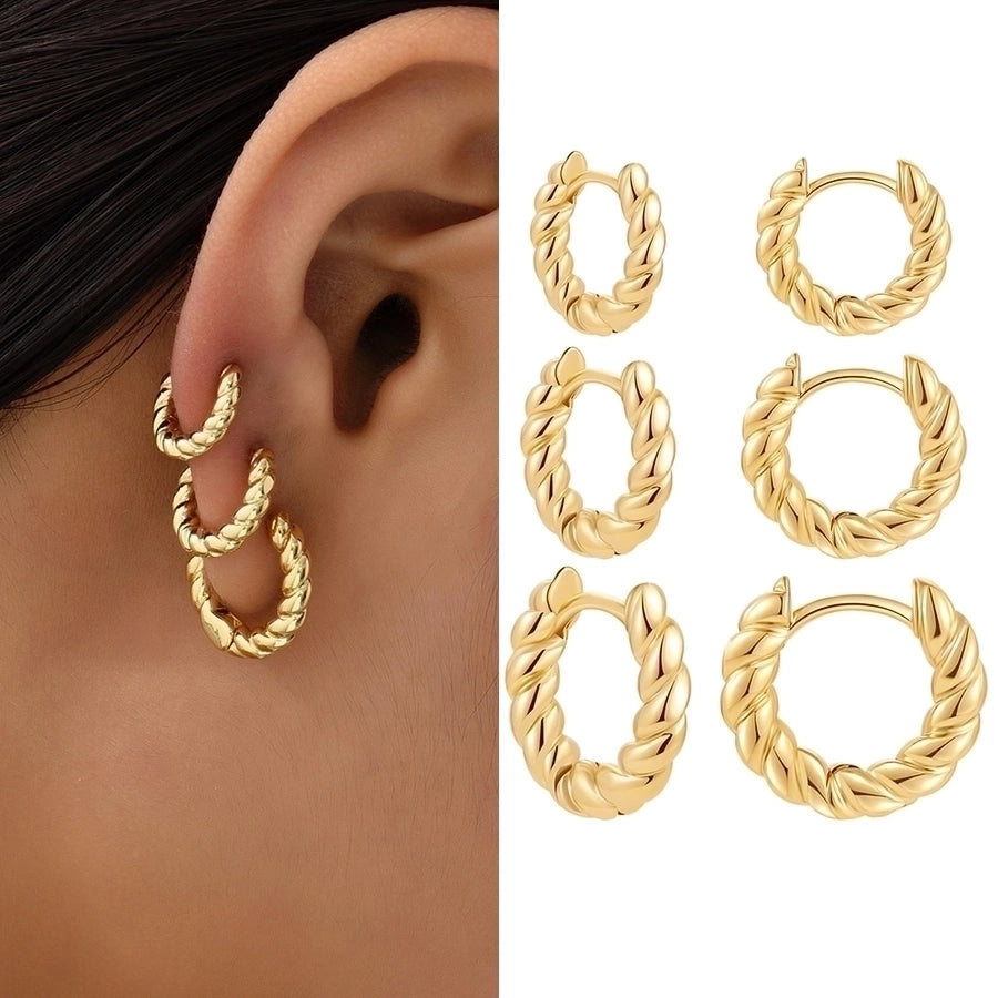 Shape Hoop Earings-1 pair